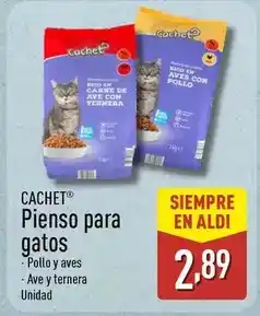ALDI Cachet - pienso para gatos oferta