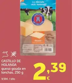 HiperDino CASTILLO DE HOLANDA queso gouda en lonchas oferta