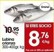 Eroski Lubina crianza oferta