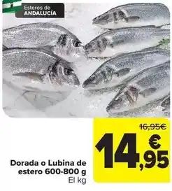 Carrefour Dorada o lubina de estero 600-800 g oferta