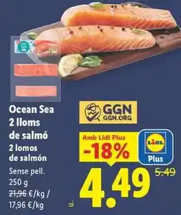 Lidl Ocean sea - 2 lloms de salmo oferta