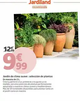 Jardiland Jardiland - jardin de clima suave: selección de plantas en macetas oferta