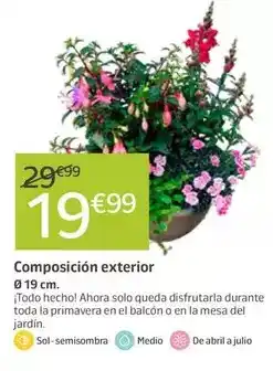 Jardiland Solo - composición exterior oferta