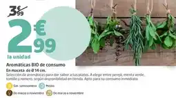 Jardiland Bio - aromaticas bio de consumo oferta