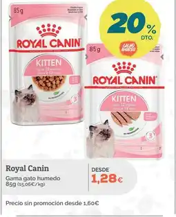 Supermercados MAS ROYAL CANIN Gama gato humedo oferta