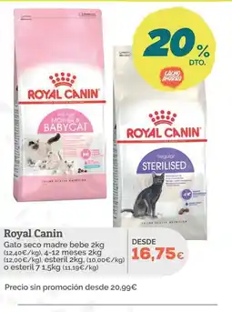 Supermercados MAS ROYAL CANIN Gato seco madre bebe oferta