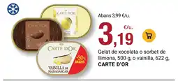 BonpreuEsclat CARTE D'OR Gelat de xocolata o sorbet de Ilimona, o vainilla oferta