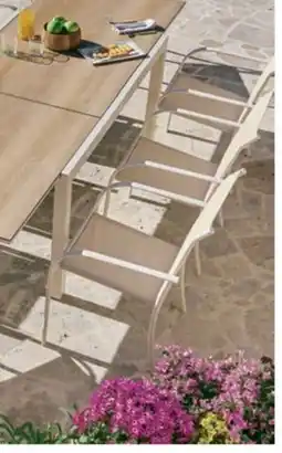 Carrefour Market Sillón fijo Palma oferta