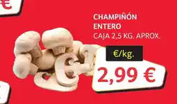 GM Cash & Carry Champiñón entero oferta