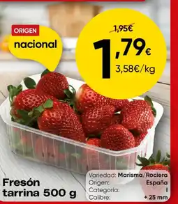 FROIZ Fresón tarrina oferta