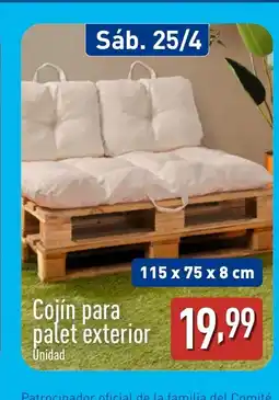ALDI Cojín para palet exterior oferta