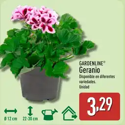 ALDI GARDENLINE Geranio oferta
