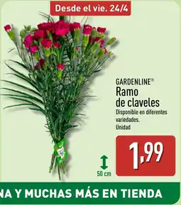ALDI GARDENLINE Ramo de claveles oferta