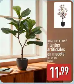 ALDI HOME CREATION Plantas artificiales en maceta oferta