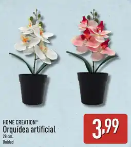 ALDI HOME CREATION Orquídea artificial oferta