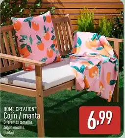 ALDI HOME CREATION Cojín / manta oferta