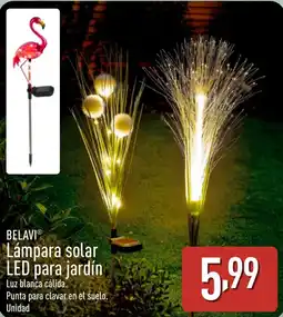 ALDI BELAVI Lámpara solar LED para jardín oferta