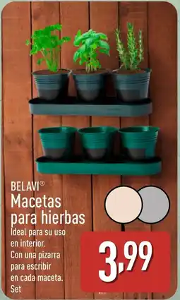 ALDI BELAVI Macetas para hierbas oferta