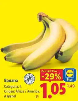 Lidl Banana oferta