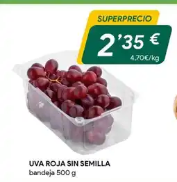 Masymas Uva roja sin semilla oferta