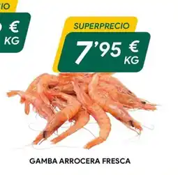 Masymas Gamba arrocera fresca oferta