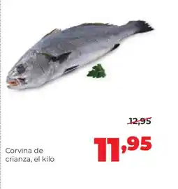 Alimerka Corvina de crianza oferta
