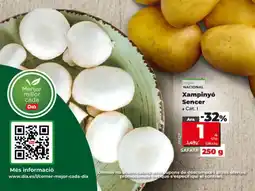 Dia Xampinyó Sencer • Cat. oferta