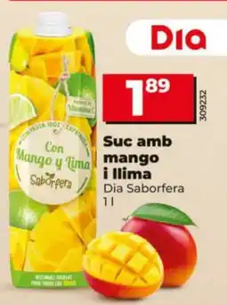 Dia DIA SABORFERA Suc amb mango i llima oferta