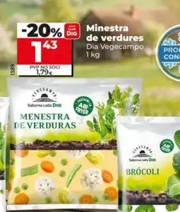 Dia DIA VEGECAMPO Minestra de verdures oferta