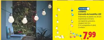 Lidl LIVARNO Guirnalda de bombillas LED oferta