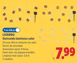 Lidl LIVARNO Guirnalda luminosa solar oferta