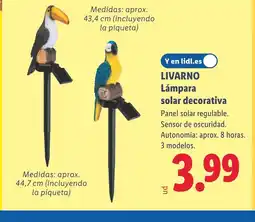 Lidl LIVARNO Lámpara solar decorativa oferta