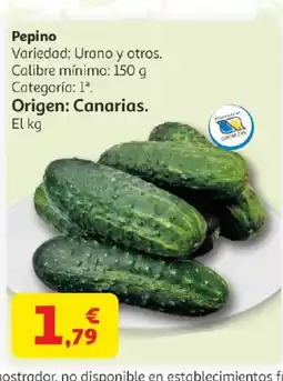Alcampo Pepino oferta