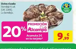 Alcampo Ostra rizada oferta