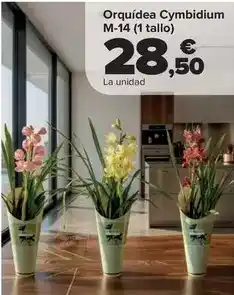 Carrefour Orquídea cymbidium m-14 (1 tallo) oferta