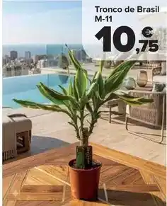 Carrefour Tronco de brasil m-11 oferta