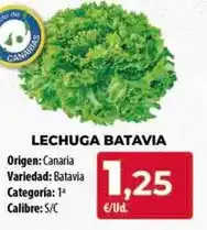 Spar Tenerife Origen - lechuga batavia oferta