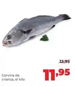 Alimerka Alimerka - corvina de crianza oferta