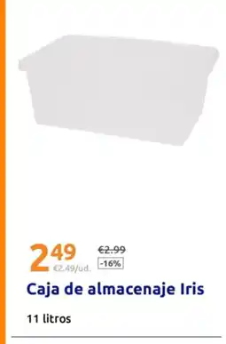 Action Caja de almacenaje Iris oferta