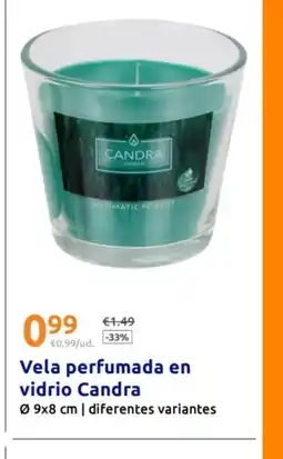 Action Vela perfumada en vidrio Candra oferta