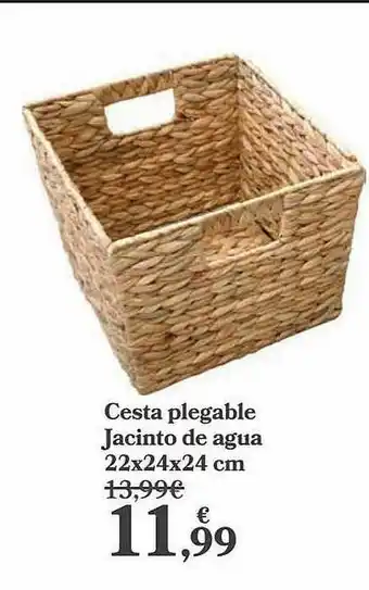 Carrefour Cesta Plegable Jacinto De Agua oferta