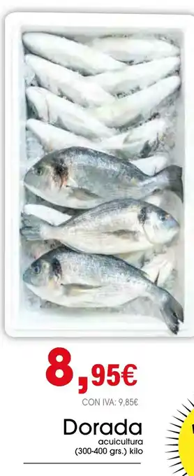 Cash Ifa Dorada oferta
