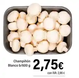 Cash Ifa Champiñón oferta