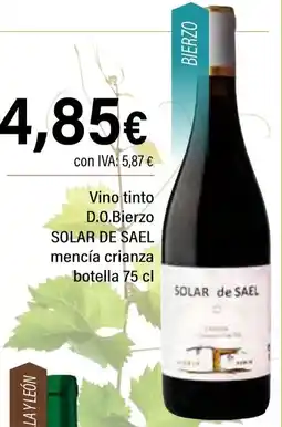 Cash Ifa SOLAR DE SAEL Vino tinto D.O.Bierzo mencía crianza oferta