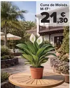 Carrefour Cuna de moises m-17 oferta