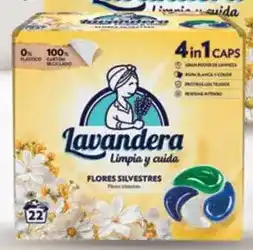 Alimerka Lavandera - limpia y cuida oferta