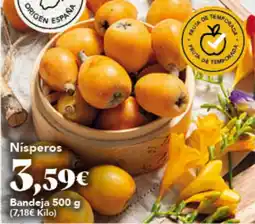 Gadis Nísperos oferta