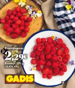Gadis Frambuesas oferta