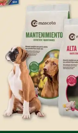 CoMarket COMASCOTA Comida para perro mantenimiento oferta