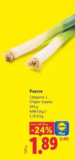 Lidl Puerro oferta